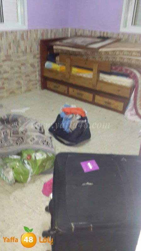 lud modahama3 (6).JPG